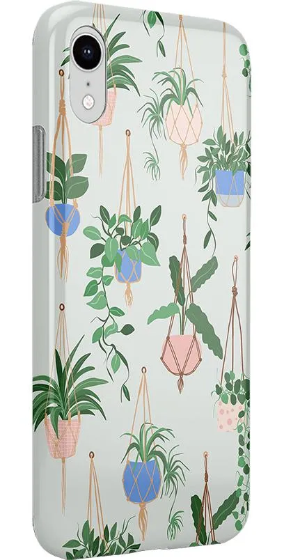 Hanging Around | Potted Plants Floral Case