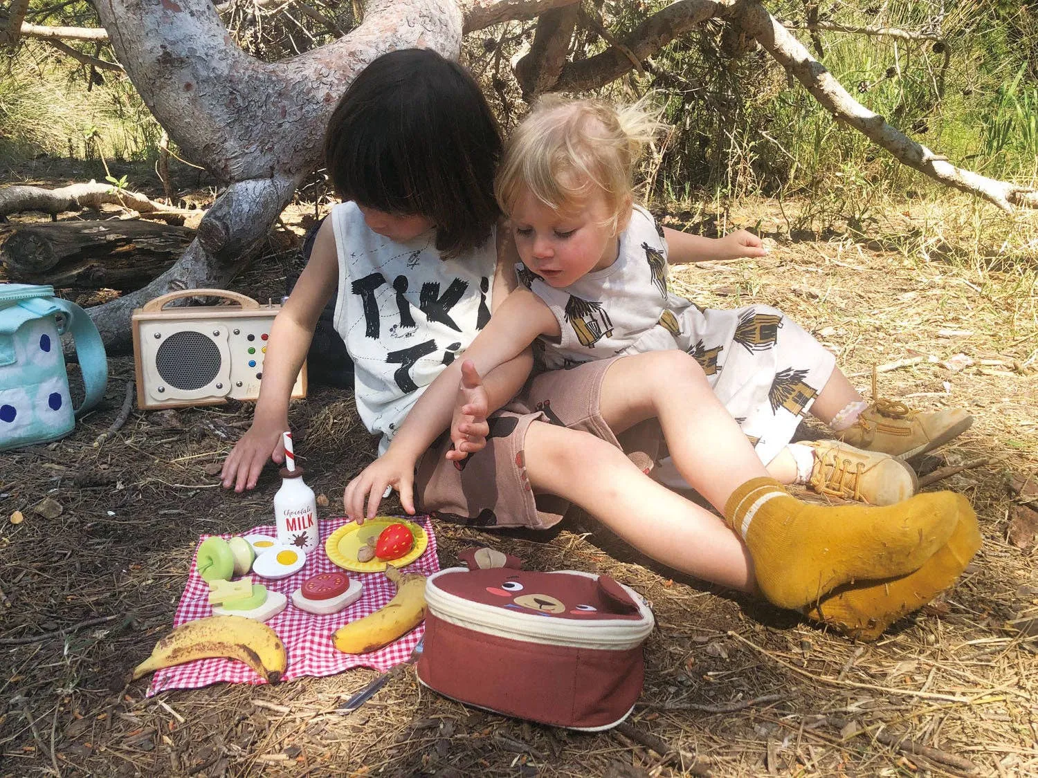 Little Bear’s Picnic