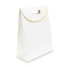 PAPER GIFT BAG WITH HANDLES - GOLD STRIPE